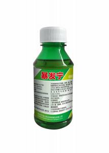 暴发宁